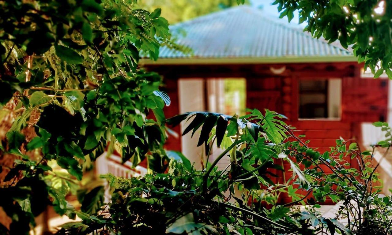 Gite Mamour - Charmant Petit Bungalow A Decouvrir Baillif Exterior photo